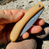 Couteau de Berger en genévrier