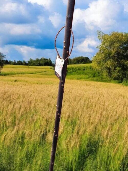 Bâton_de_marche_Terre_de_Bergers___en_campagne_entier_(partie3)