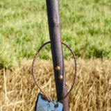 Terre de Bergers walking stick - Image 7