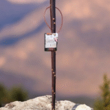 Terre de Bergers walking stick - Image 9