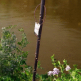Terre de Bergers walking stick - Image 6