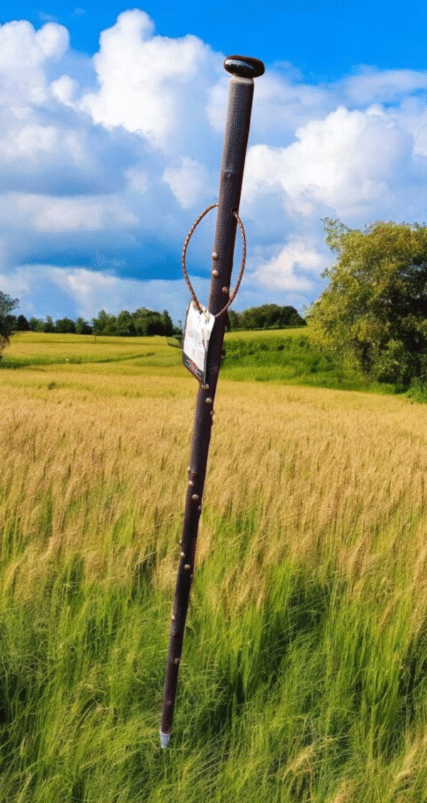 Terre de Bergers walking stick