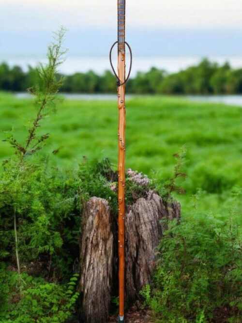 Bâton_de_marche_Terre_de_Bergers___(partie_2)