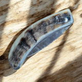Shepherd's knife Basque sheep horn manex - Image 3