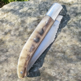 1695 Basque knife Yatagan in horn (medium size) - Image 3