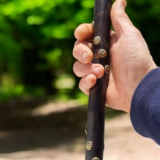 Terre de Bergers Basque walking stick wooden knob - Image 2