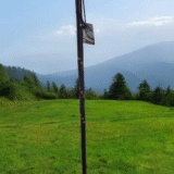 Terre de Bergers Basque walking stick wooden knob - Image 3