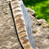 1695 Yatagan Basque knife Damascus and ewe's horn - Image 4
