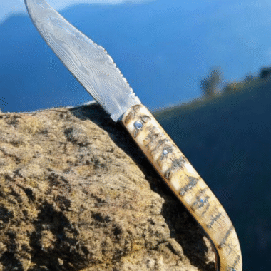 https://couteau-basque.com/wp-content/uploads/2025/04/20250428_163417-380x380.png